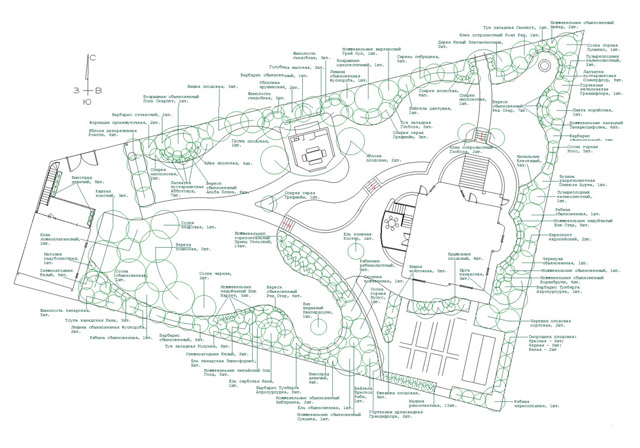 Дендроплан. Эскиз планировки.